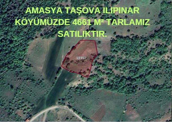 AMASYA TAŞOVA ILIPINAR KÖYÜMÜZDE 4661 M² TARLAMIZ SATILIKTIR. - AMASYA TAŞOVA fotoğraf 7